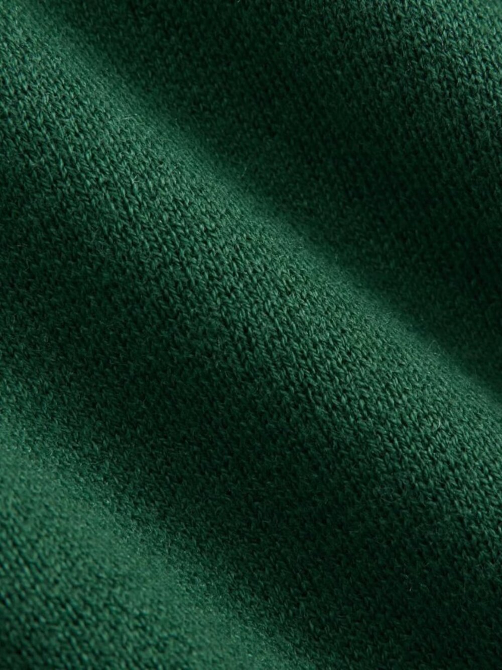 EVERLANE Double Knit Crew in Cotton Merino | Hunter Green - Picture 6 of 10